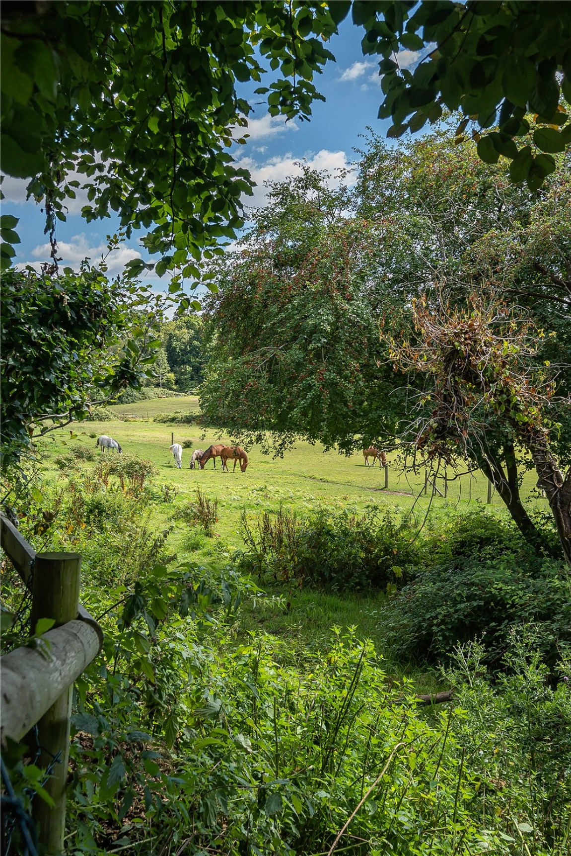 Images for Wokingham, Berkshire