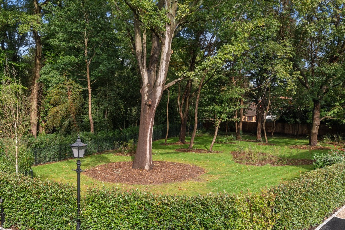 Images for Crowthorne, Berkshire